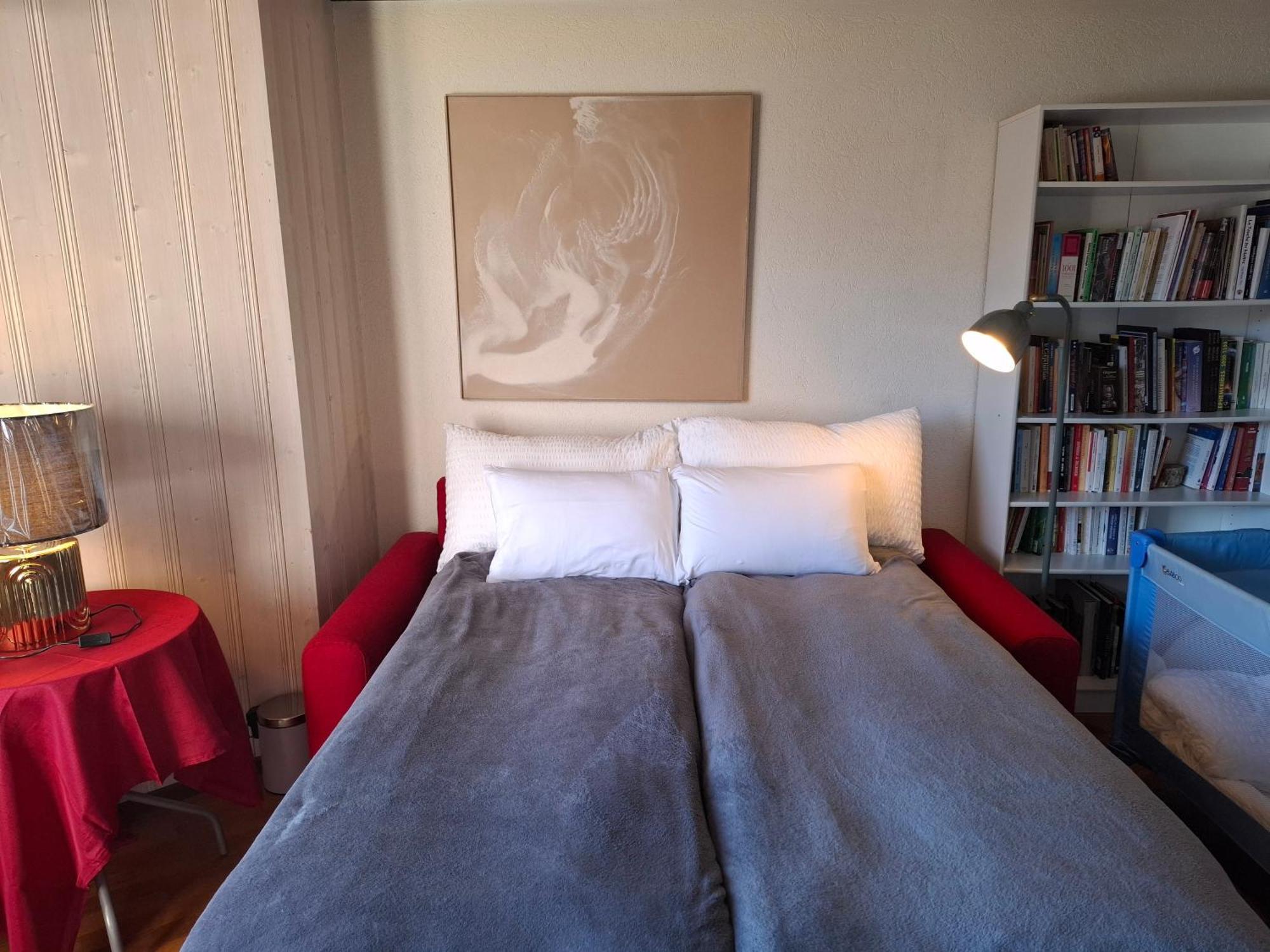 Appartement Le Nid D'aigle Centre Avec Forfait Piscine Sauna Jacuzzi En Option Leysin