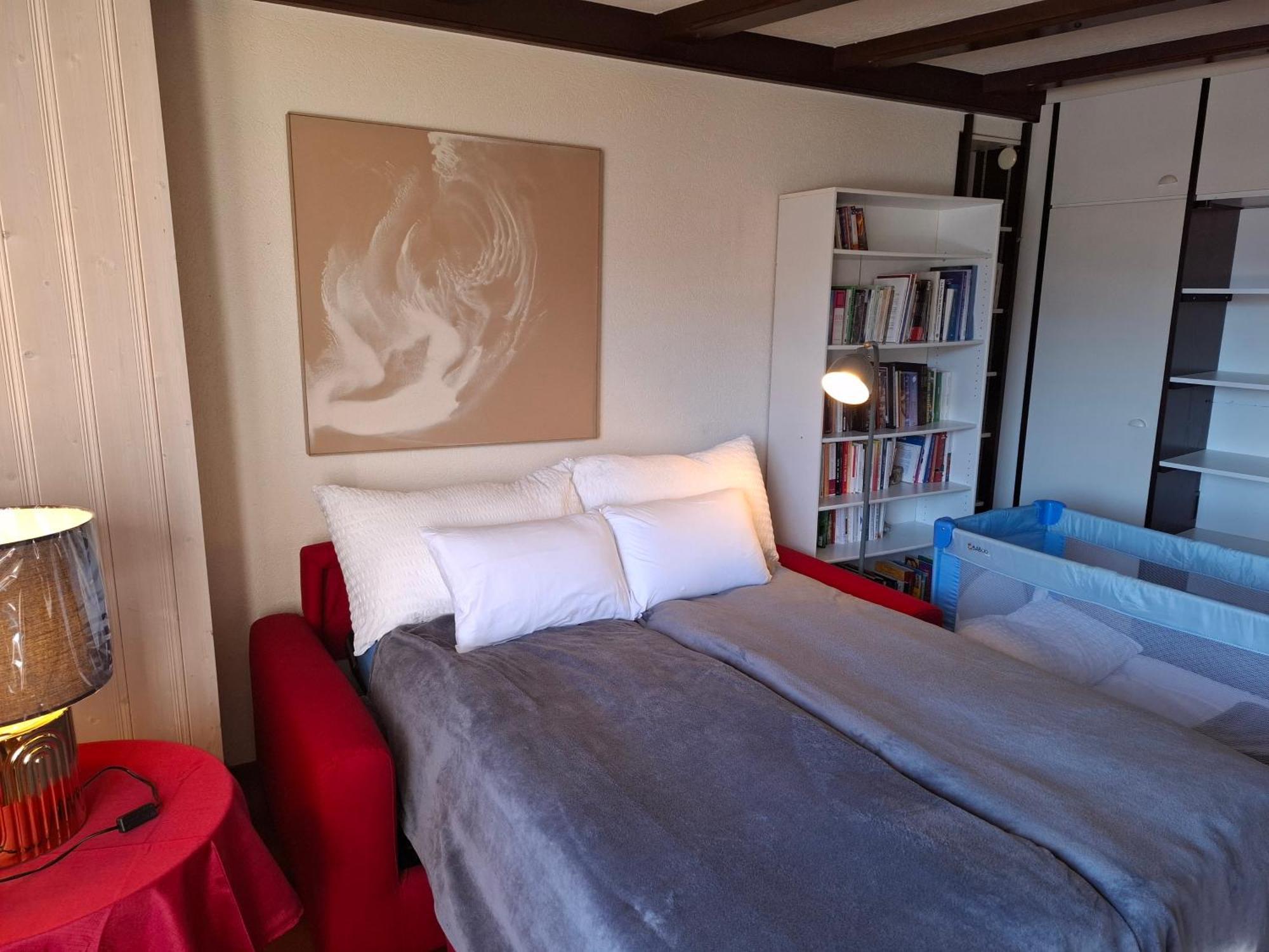Le Nid D'aigle Centre Avec Forfait Piscine Sauna Jacuzzi En Option Leysin